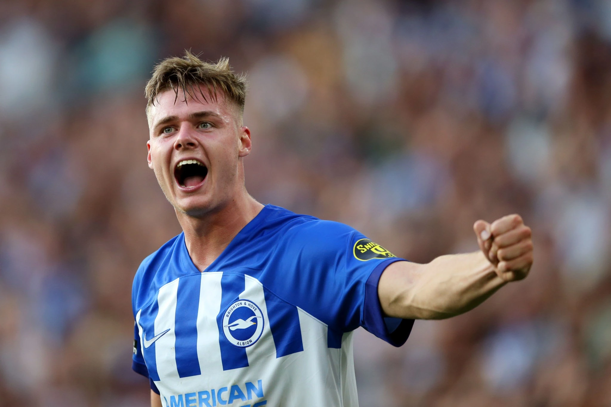 Evan Ferguson Eyes January Brighton Exit Amid Lack of Game Time