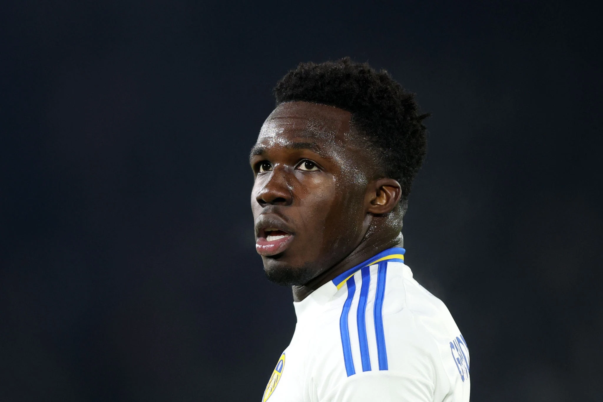 Liverpool Transfer Case: Gnonto Advised to Steer Clear as Champions League Hopes Soar