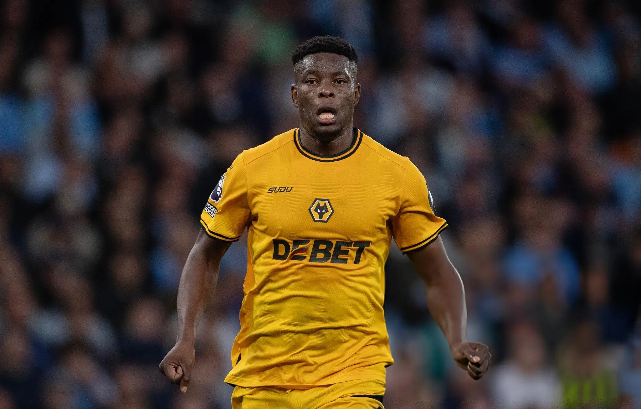 Wolves vs Brighton Match Preview, Where to Watch the Game Live Stream and World Time Zones