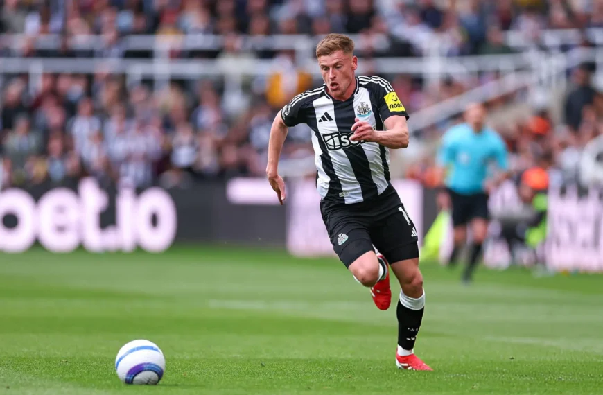 Newcastle vs Everton Match Preview, Where to Watch the Game Live Stream and World Time Zones