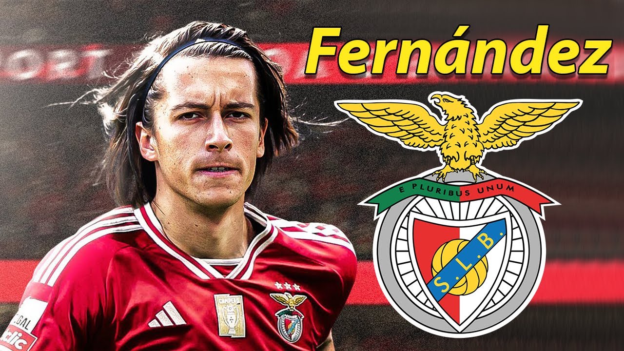 Alvaro Fernandez can be the first reinforcement for Benfica in the January transfer window.