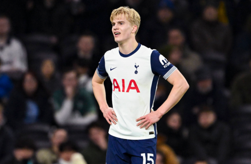 Tottenham vs Brighton Game Preview, Where to Watch the Match Live Stream and World Time Zones