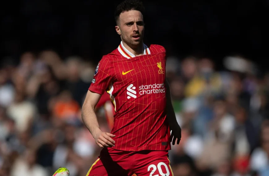 Liverpool vs Crystal Palace Match Preview, Where to Watch the Game Live Stream and World Time Zones