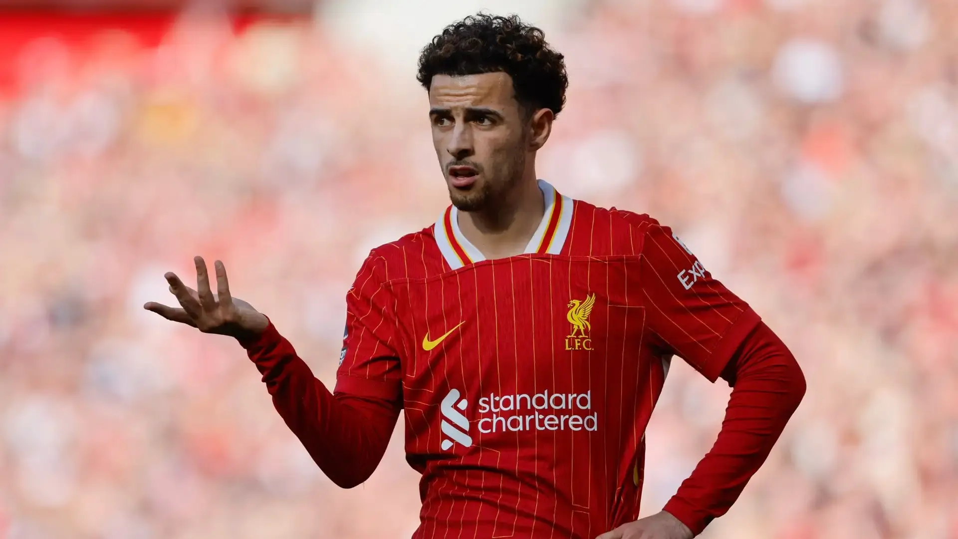 Curtis Jones set to earn first England cap as Arne Slot revolutionizes Liverpool midfield