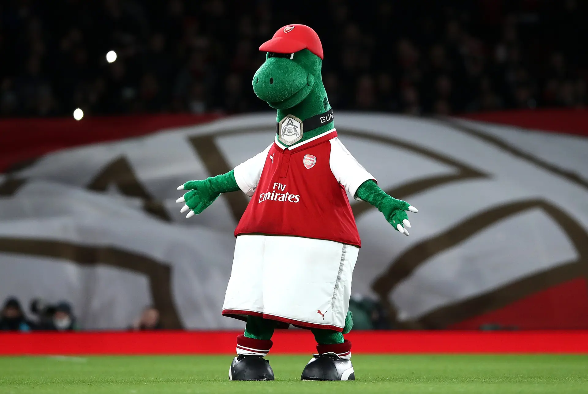 Inside the Price Tag: Unveiling the Cost of Being a Premier League Mascot