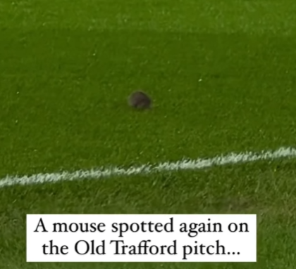 Another rat in Old Trafford