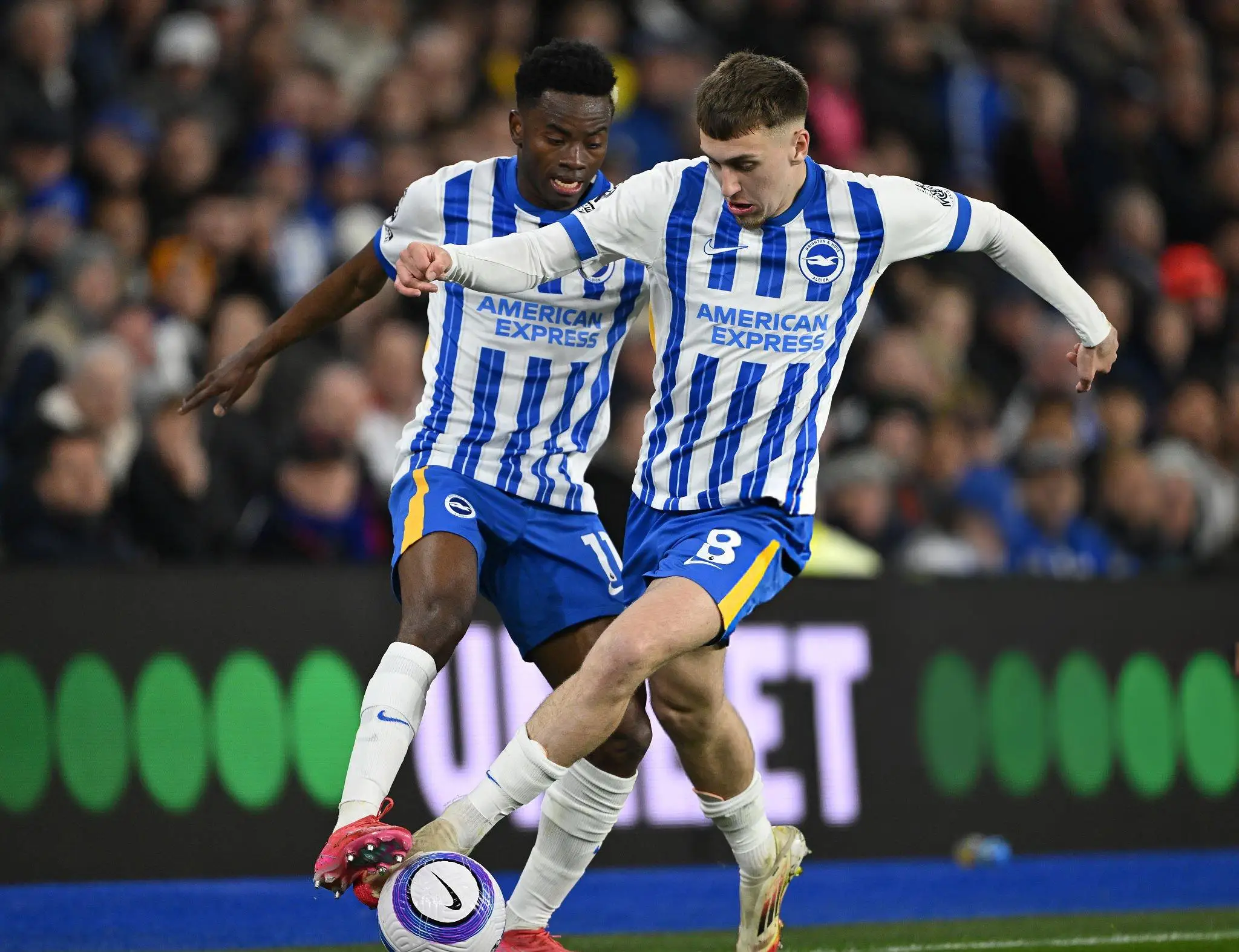 Brighton vs Leicester Match Preview, Where to Watch the Game Live Stream and World Time Zones.