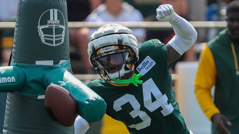 Detroit Lions Eye Potential Roster Additions from NFC North Rivals
