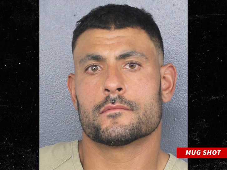 Miami Dolphins Coach Arrested on Domestic Battery Charge