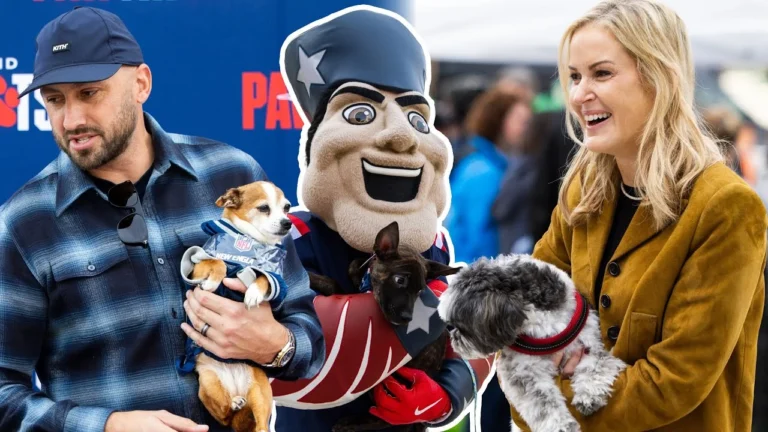 New England Patriots Foundation Hosts TailGate Dog Adoption Event at Patriot Place