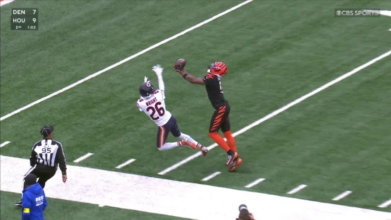 Madden Glitch or just Tee Higgins?
