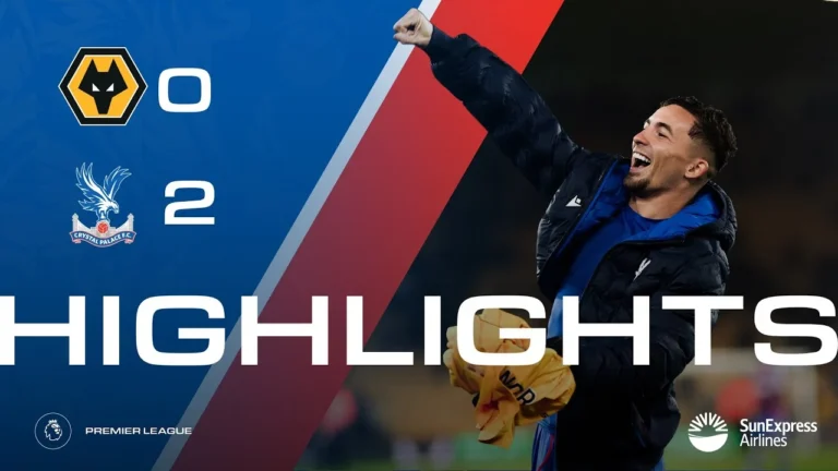 Pino Screamer Wolves 0-2 Crystal Palace Match Highlights