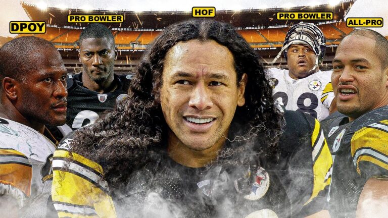 BLITZBURGH: 2008 Steelers Defense Highlight!
