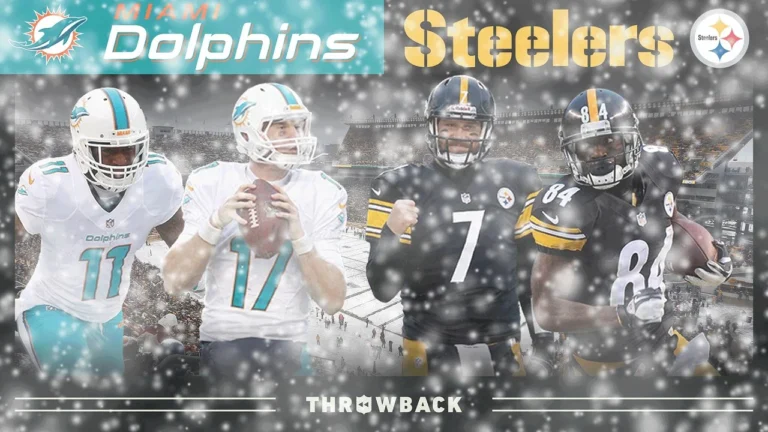 A Blizzard Bowl Decided by INCHES! (Dolphins vs. Steelers 2013, Week 14)