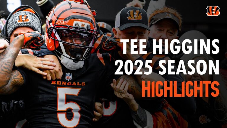 Tee Higgins Top Plays 2025 Season