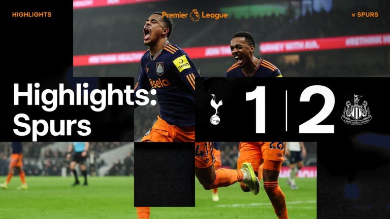 Tottenham Hotspur 1 Newcastle United 2 Premier League Highlights