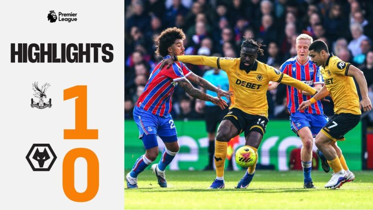 Late defeat in London Crystal Palace 1-0 Wolves Highlights
