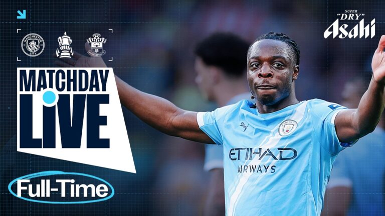 NICO SCREAMER PUTS CITY INTO THE FINAL! Man City 2-1 Southampton FA Cup Semi Final