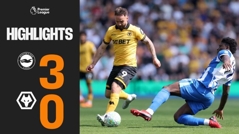 Defeat at the Amex Brighton &amp Hove Albion 3-0 Wolves Highlights