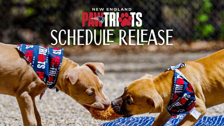 The CUTEST Schedule Release Video of All Time 2026 New England Patriots