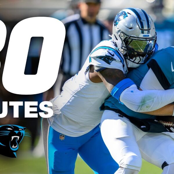 30 Minutes of Panthers Defensive Highlights (2020-2025)