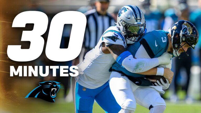 30 Minutes of Panthers Defensive Highlights (2020-2025)